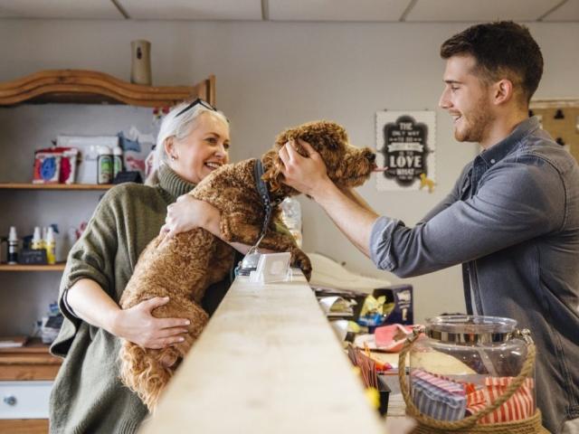 Dog Groomers advertising campaign